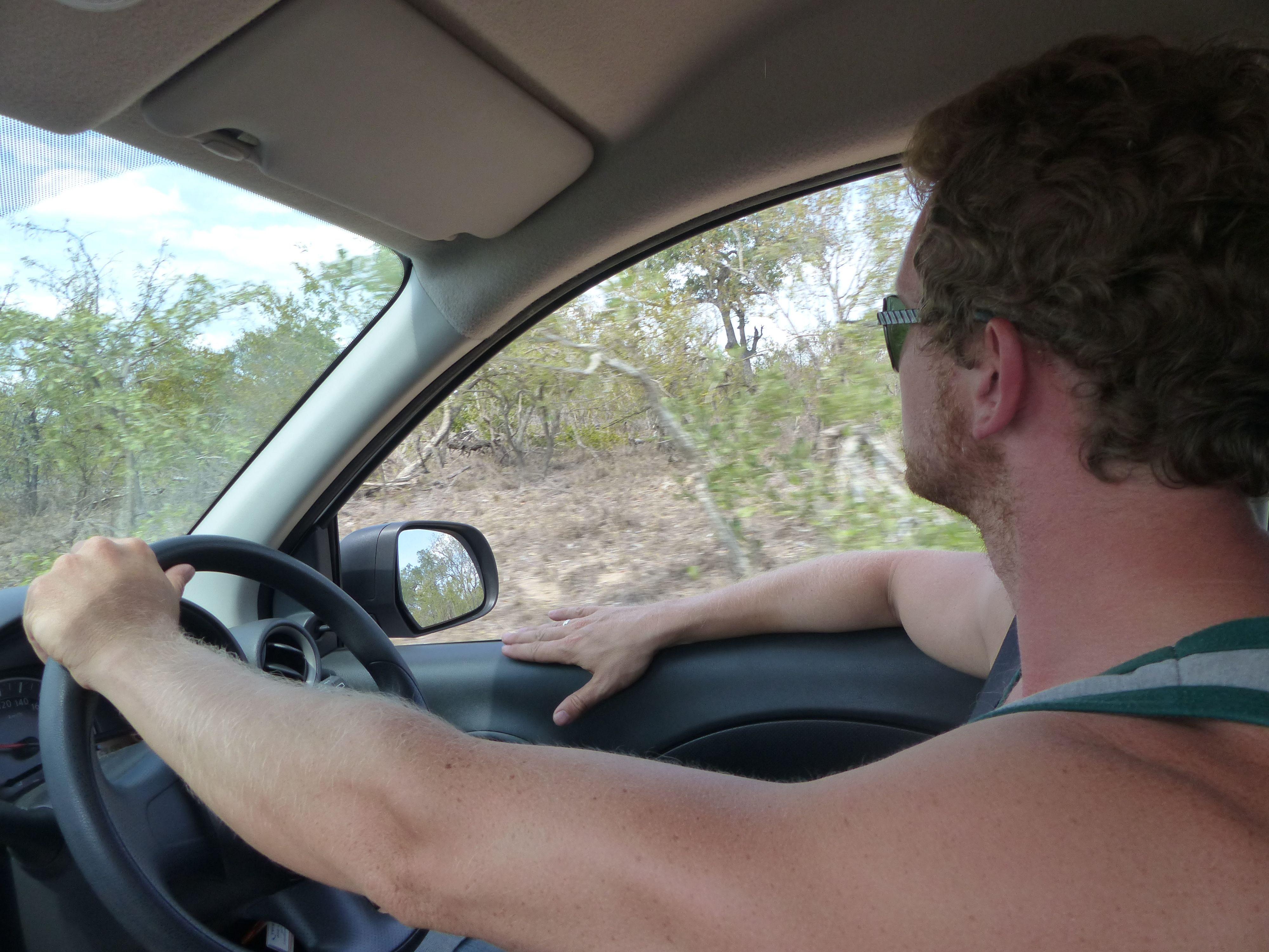 Kruger National Park - Self Driving