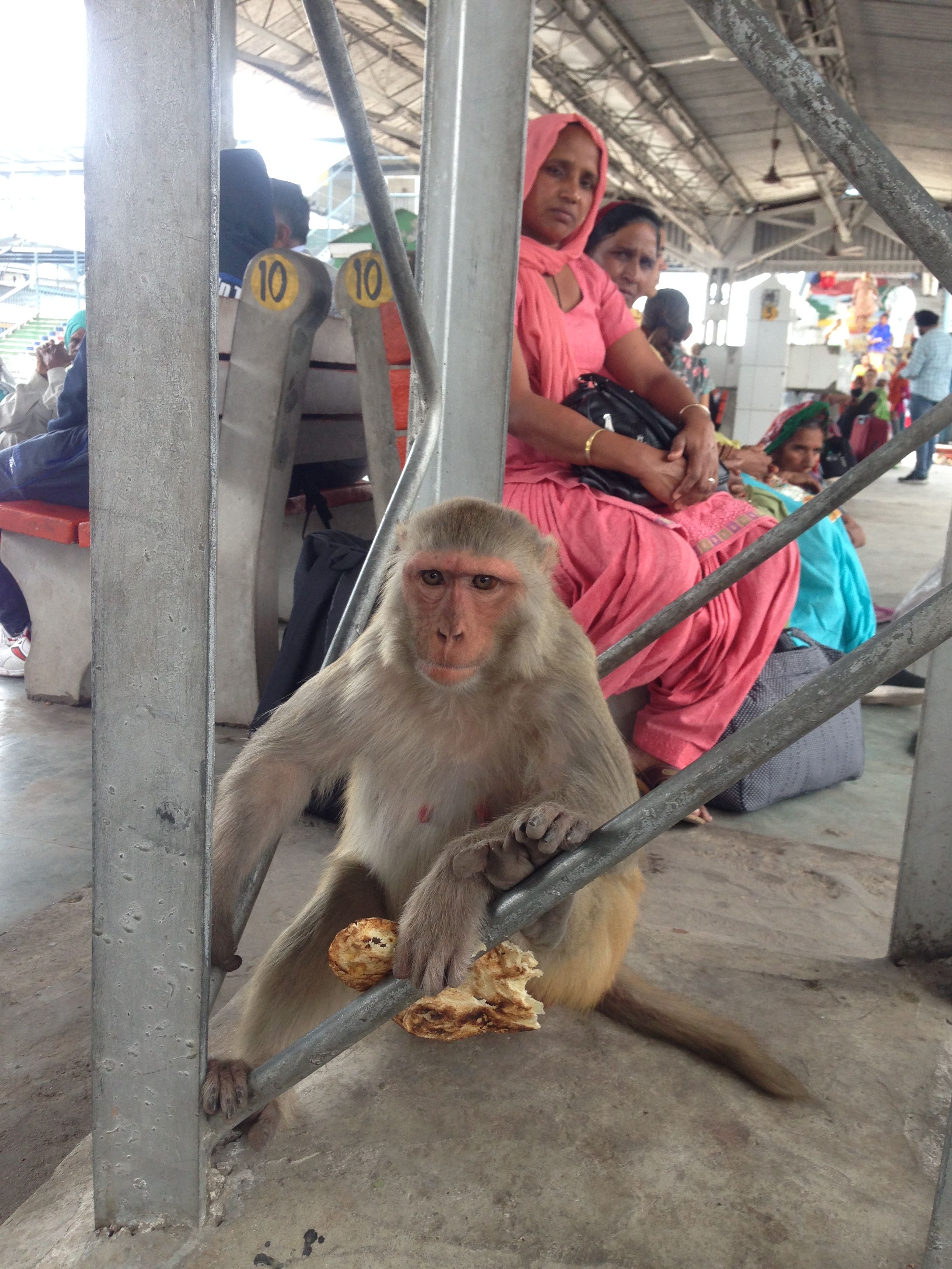 Haridwar Train Station