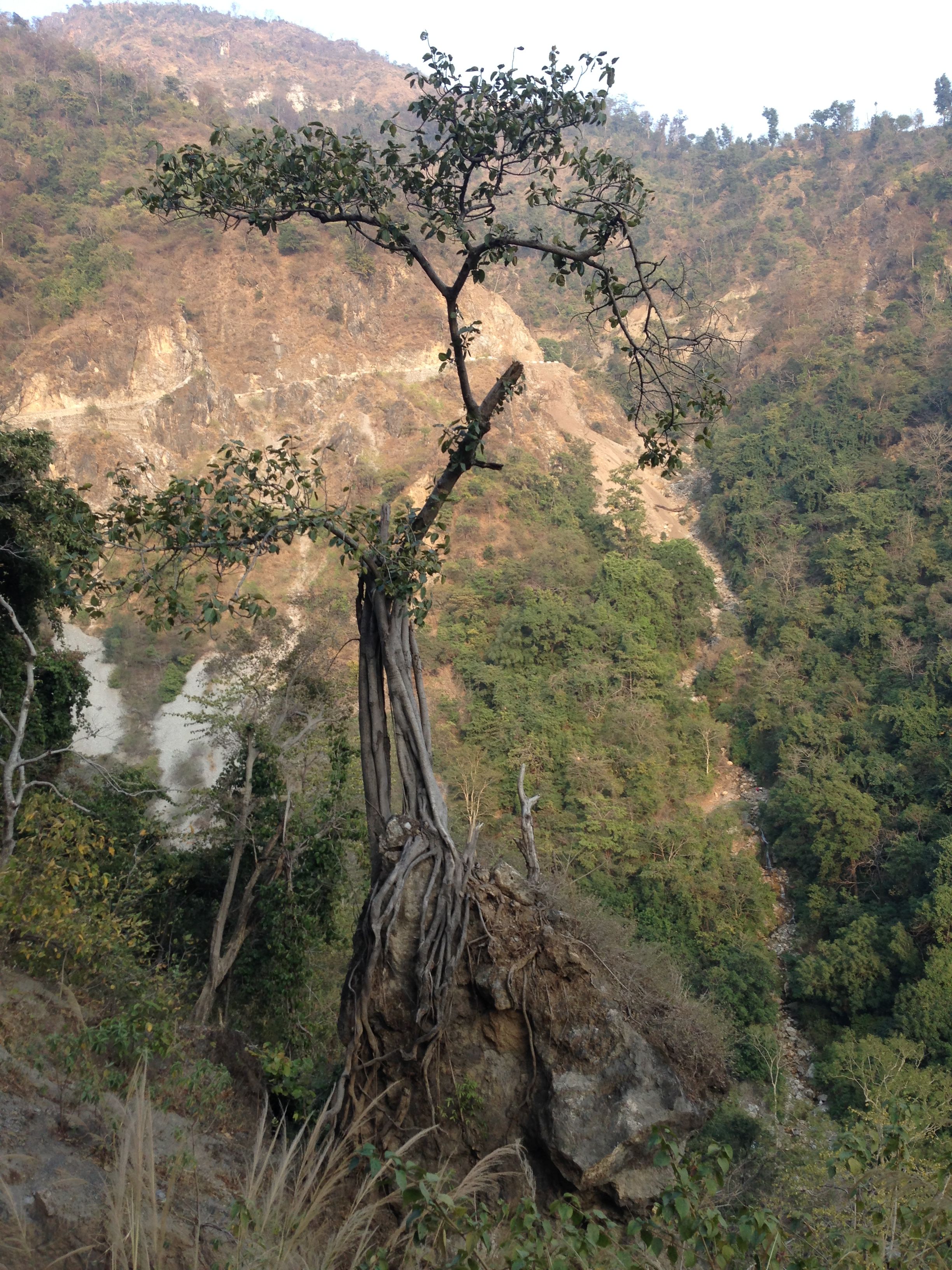 Rishikesh, waterfalls nearby town