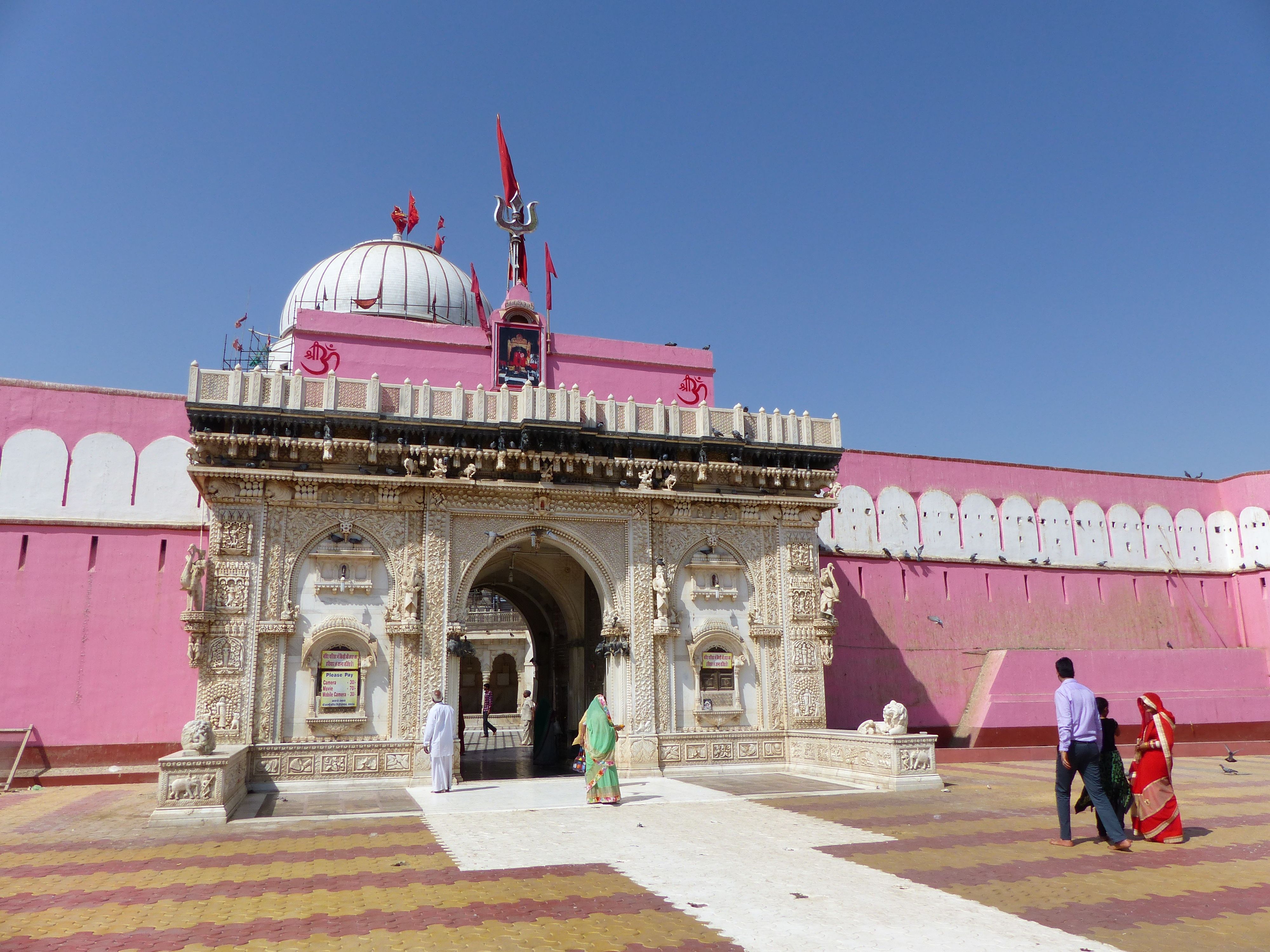 Near Bikaner, Karni Mata Rat Temple