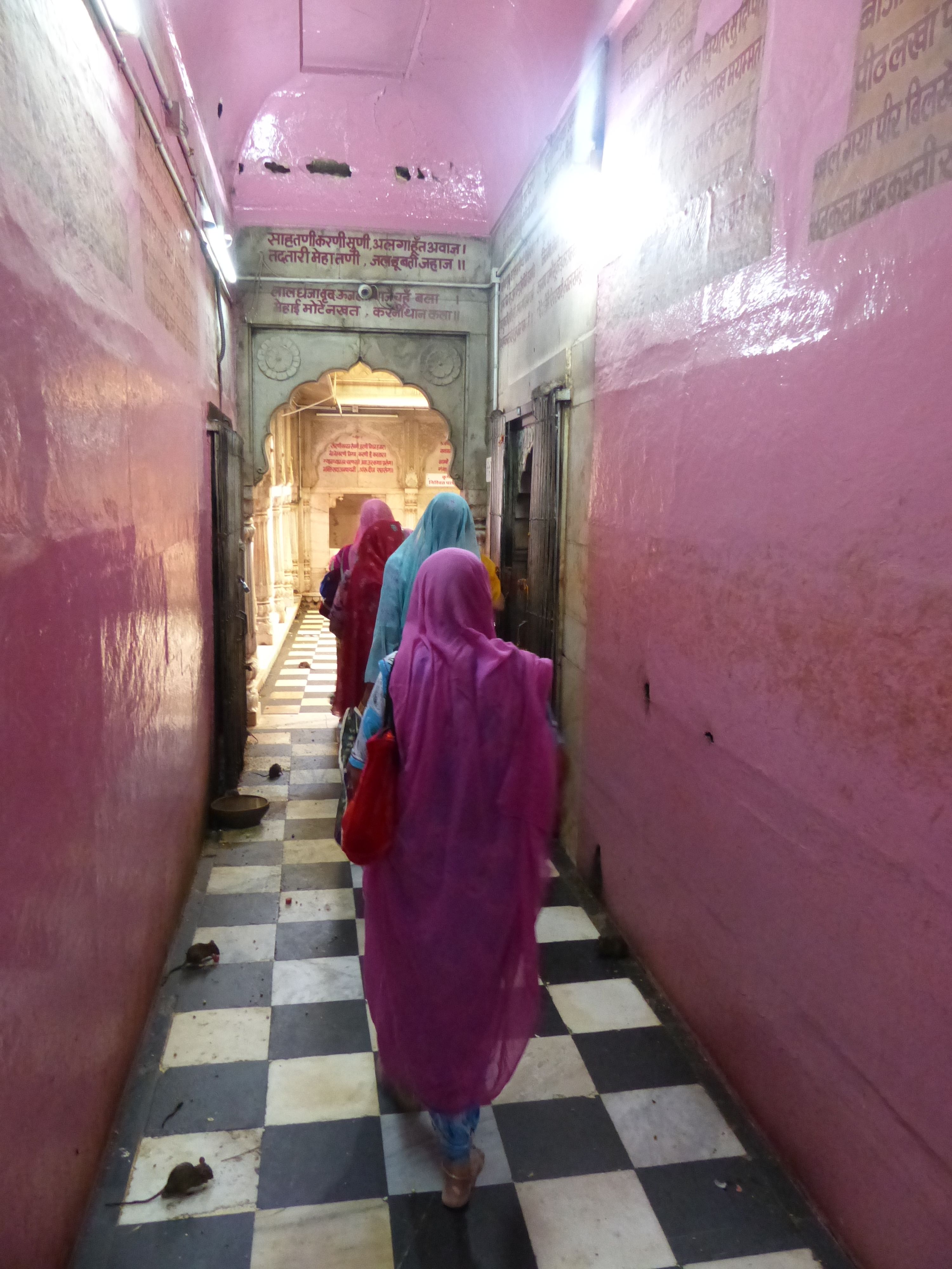 Near Bikaner, Karni Mata Rat Temple