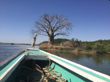 A pirogue on the Sine Saloum Delta, the Petite Cote, Senegal