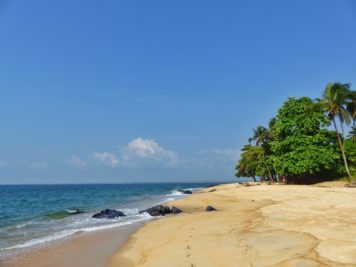 Beautiful golden Robertsport beach in Liberia. Popular surfing spot.