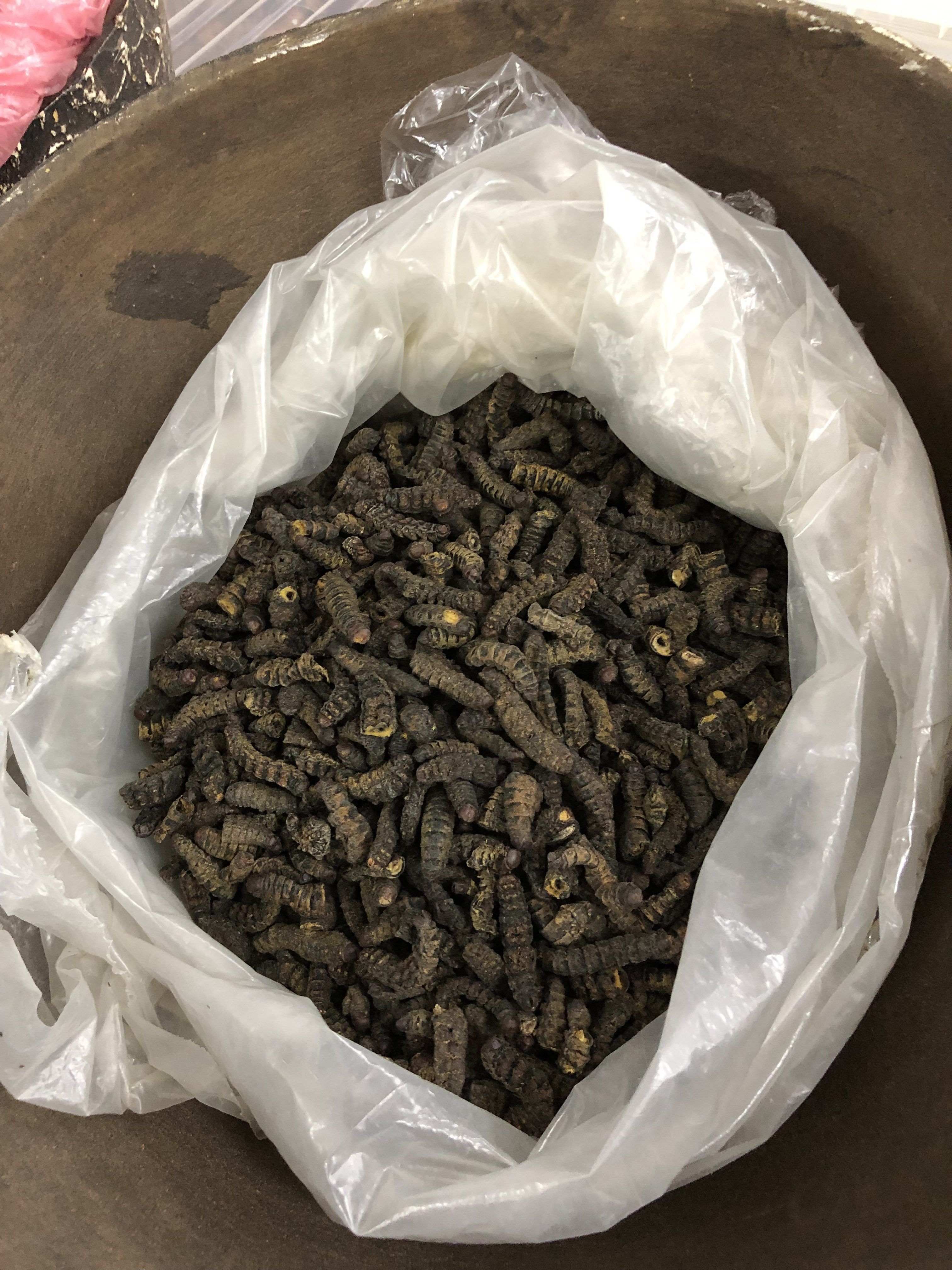 Dried caterpillars