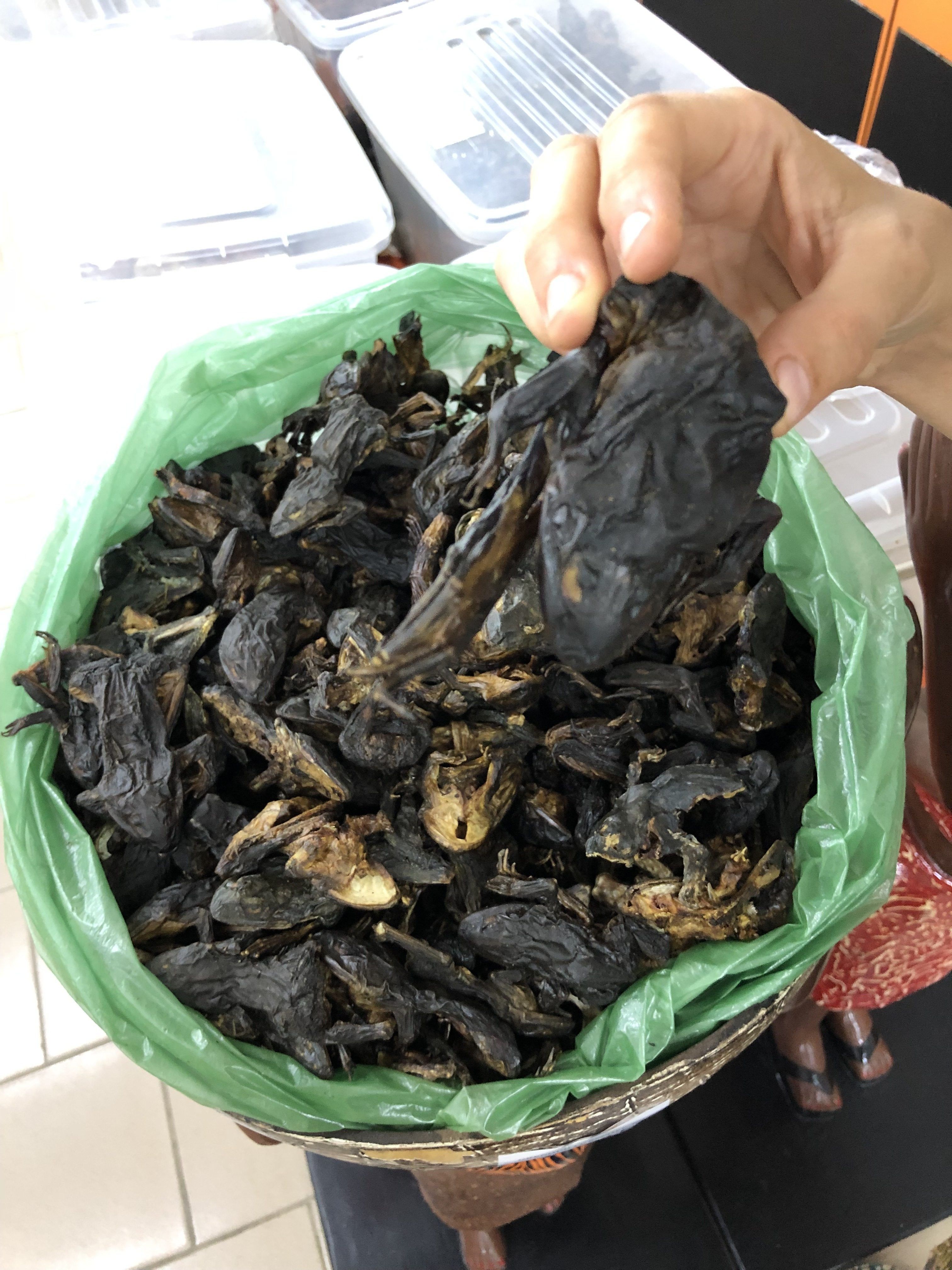 Dried frogs...
