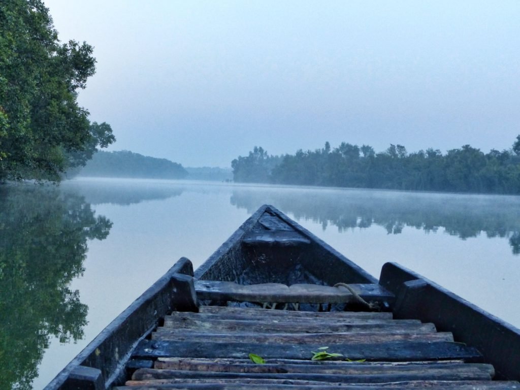 Sun up rowing on the river