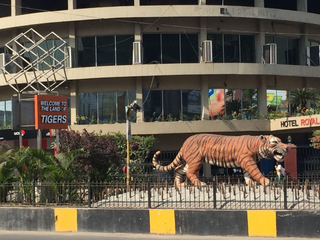 Tiger in Khulna