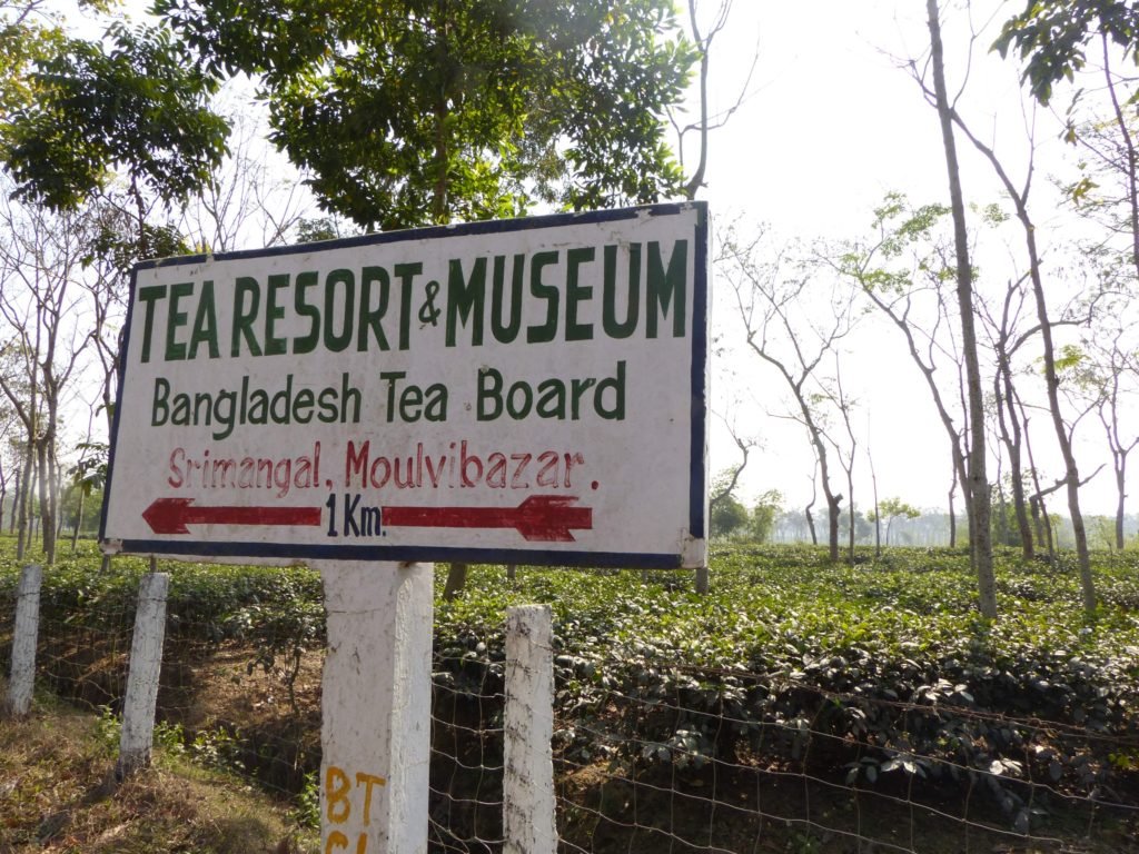 Tea tourism
