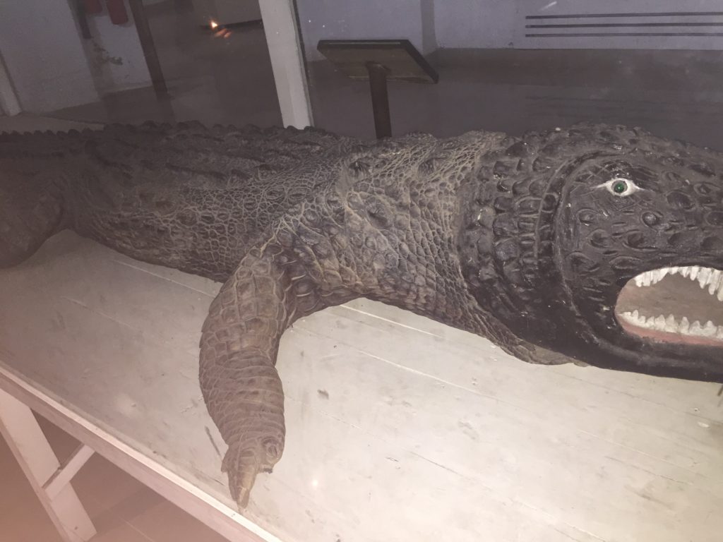 Bagerhat, famous crocodile's skin and a wooden head