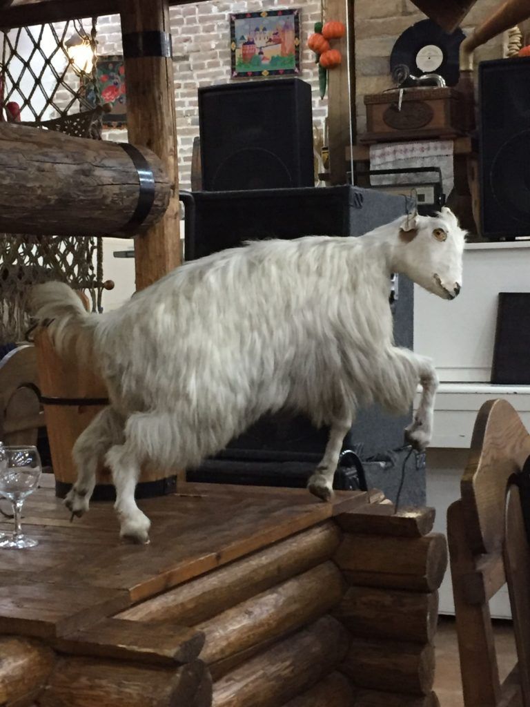 A stuffed goat in the restaurant. I felt it was judging our poor planning skills.