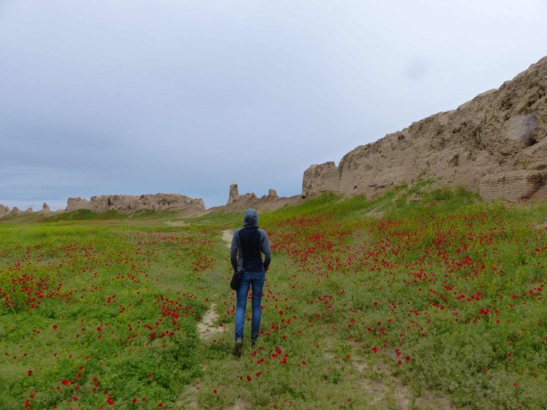 Fortress ruins at Sauran, once a major city on the Silk Road and capital of the Mongol White Hoard, near Turkistan, Kazakhstan