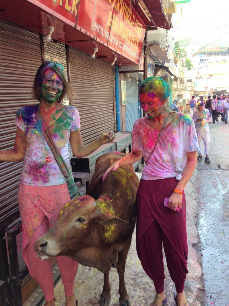 Holi Cow