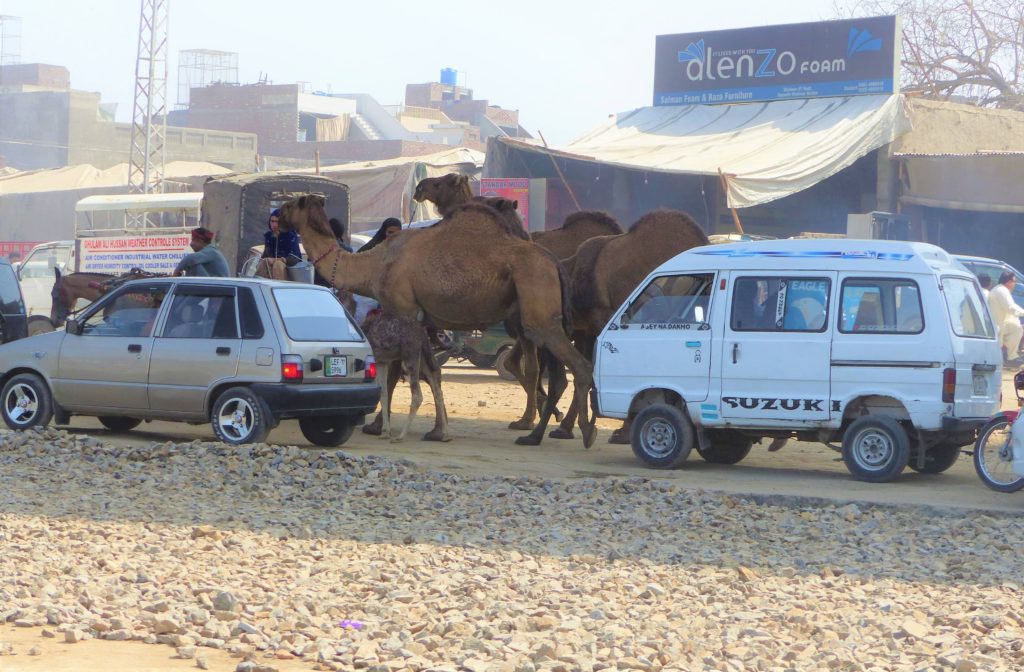 Lahore traffic