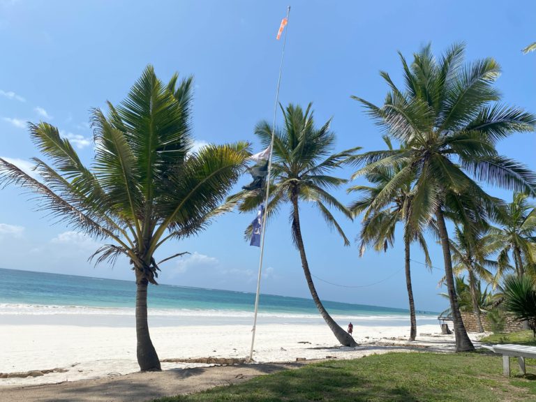 Diani Beach, on Kenya's southern coast. Perfect white sand and turquoise water.