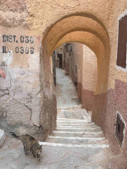 Beni Isguen cat ghardaia Algeria