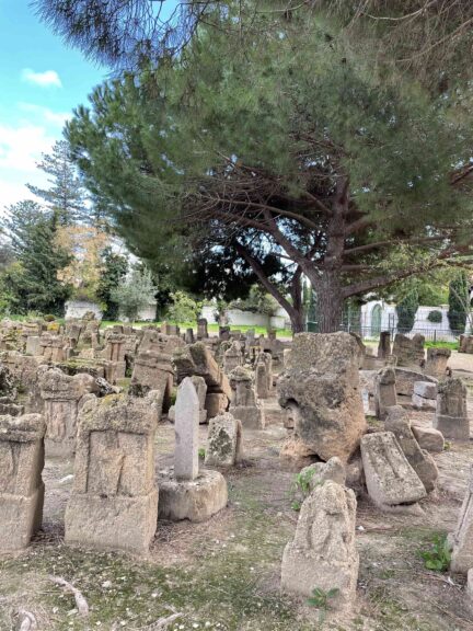 carthage ruins tunisia