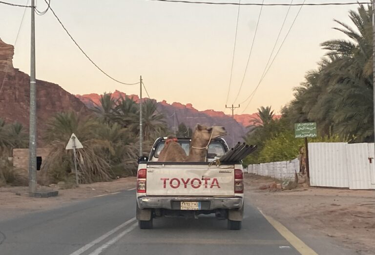 When you have to get your camel somewhere, you have to get your camel somewhere