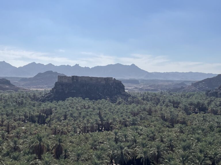 The ancient mud-citadel in a palmerie, a part of Khaybar's cultural village experience. Except not for us, it was too muddy to visit, apparently.