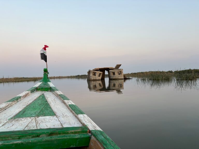 Mess in the marshes: some remnants of Saddam Hussein's handiwork