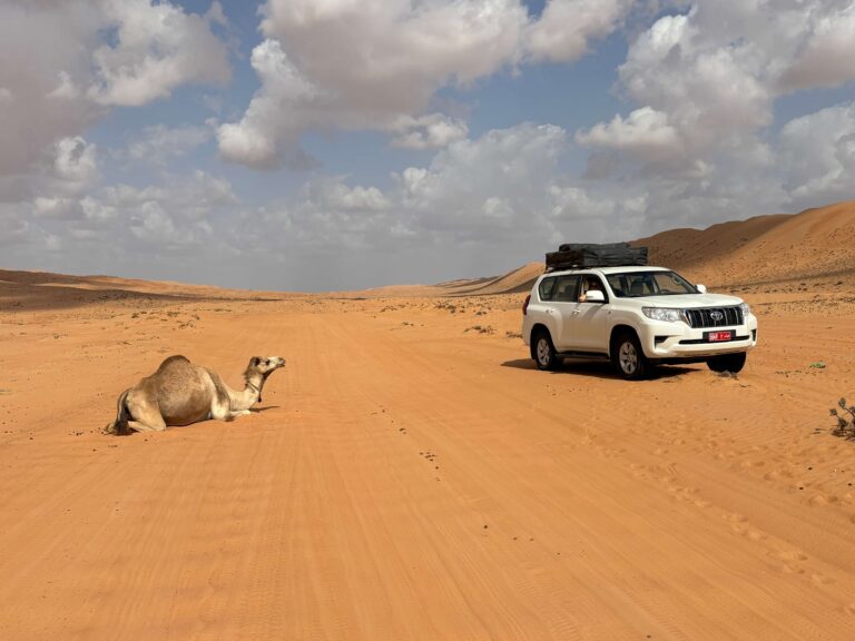 Classic. Don't expect them to move, either (unless you're trying to get a photo of course)