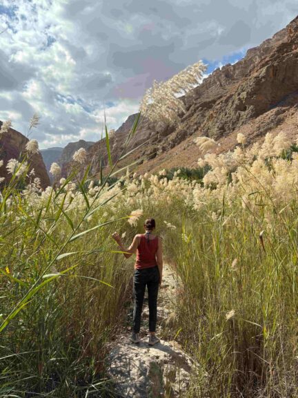 Sometimes over rocks, sometimes through long wavy grasses